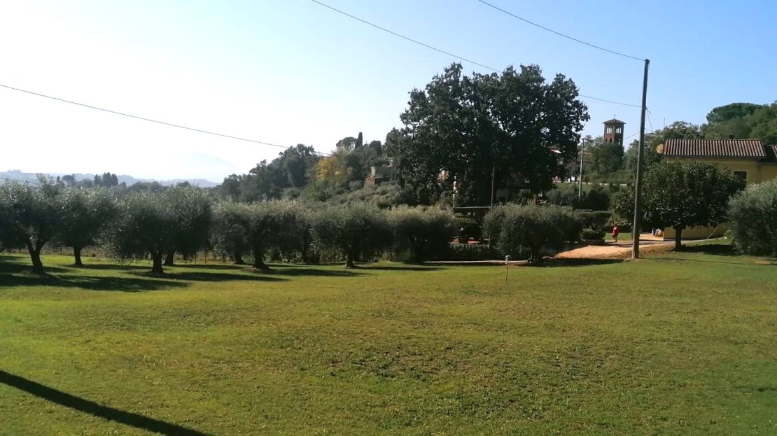 video image